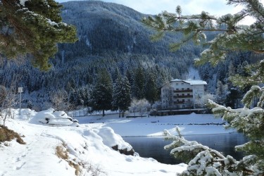 Hotel Pineta ***
