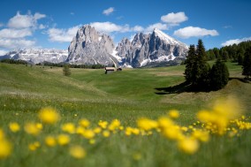 Seiser Alm: das grüne Herz der Dolomiten