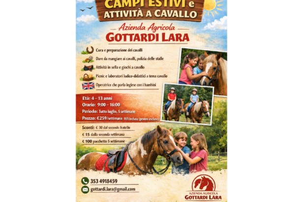 Summer camps and horse riding activities